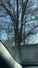 This Squirrel Is Eating Good Tonight