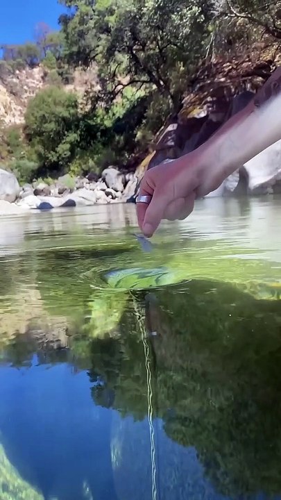 A Mesmerizing Whirlpool