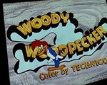 Woody Woodpecker Woody Woodpecker E065 – Bunco Busters