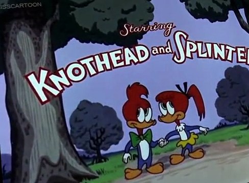 Woody Woodpecker Woody Woodpecker E068 – Get Lost