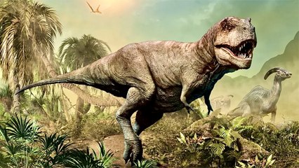 Tyrannosaurus Rex Revealed: New Discoveries Challenge Old Assumptions 🦖