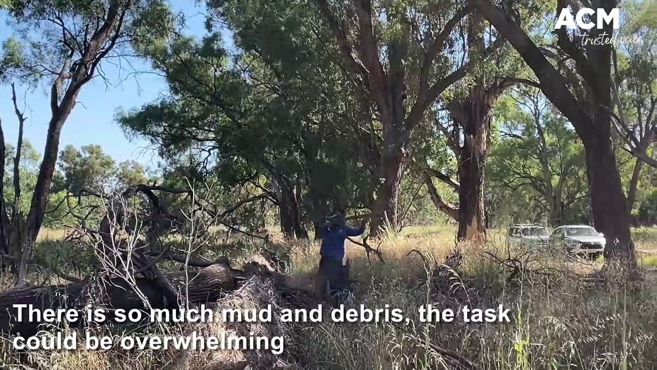 Disaster Relief Australia's flood recovery Operation Simmonds