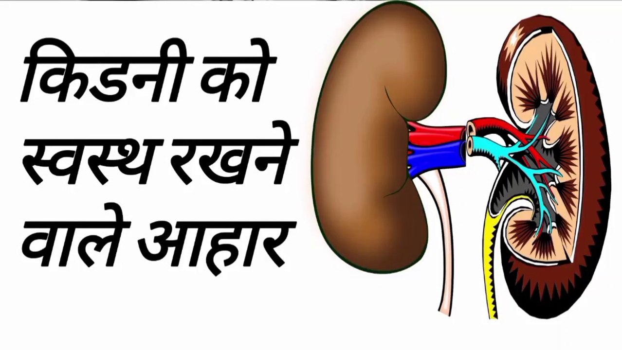 kidney ko swasth rakhne ke upay | किडनी को स्वस्थ रखने के लिए क्या खाना चाहिए | kidney ko swasth rakhne ke liye kya karna chahie | kidney ko swasth rakhne ke liye gharelu upchar