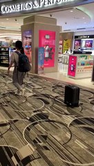 Robot Suitcases Taking Over The World