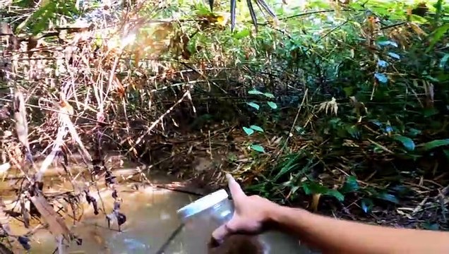 Sang Vlog - Rùng Mình Phát Hiện Con MÃNG XÀ Có 9 Mũi Trong Cái Ao BỎ HOANG Khi Cắm Câu Ếch Cùng Team Sang Vlog