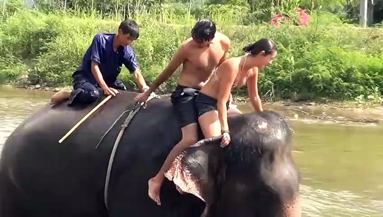ELEPHANT Ride,   FUNNY OR DANGER   feel it
