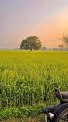 New Farming WhatsApp status  (Farming lover )