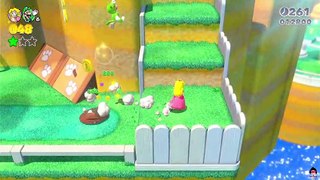 Super Mario 3D World - Peach & Luigi in Super Bell Hill, Koopa Troopa Cave