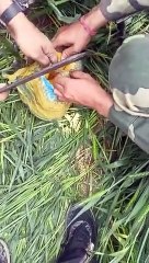 Drones with Heroin intercepted near Punjab's Gurdaspur by BSF