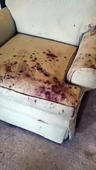 Sofa cleaning service in Warrington