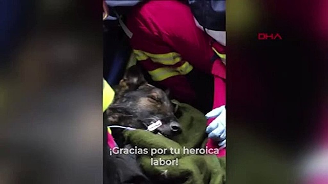 Arama kurtarma çalışmaları sırasında hayatını kaybeden Proteo için Meksika'da askeri tören düzenlendi