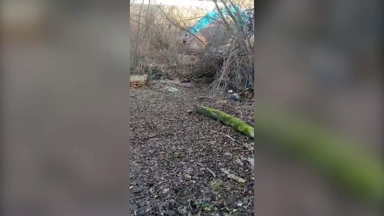 Raw sewage has been flowing into two lakes in West Yorkshire with concerns for local wildlife