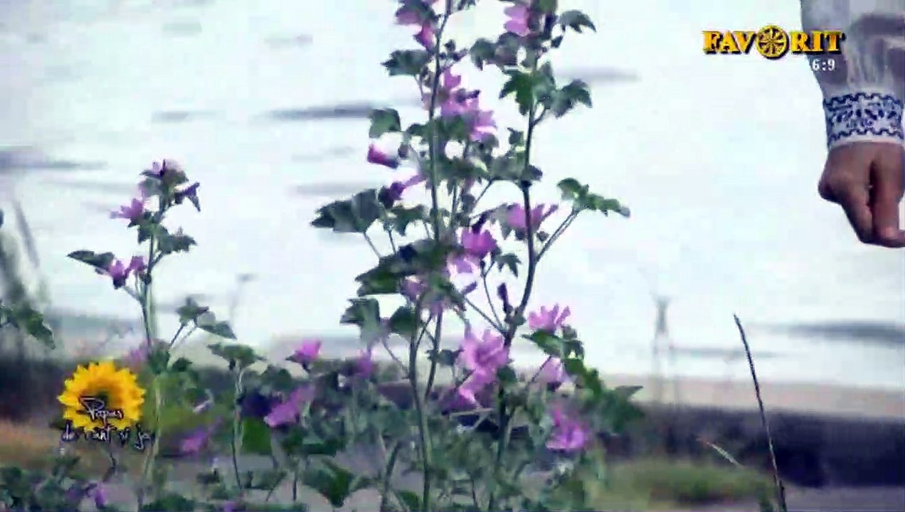 Marius Cristel Marin - Ce spuneai mandruta-n lume (Popas de cant si joc - Favorit TV - 05.07.2018)