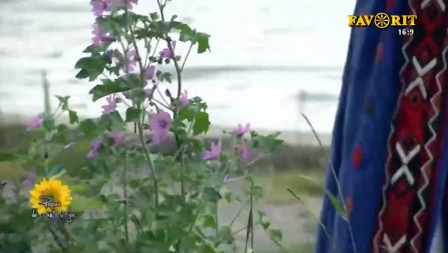 Catalina Alexa - Bujorel din Babadag (Popas de cant si joc - Favorit TV - 05.07.2018)