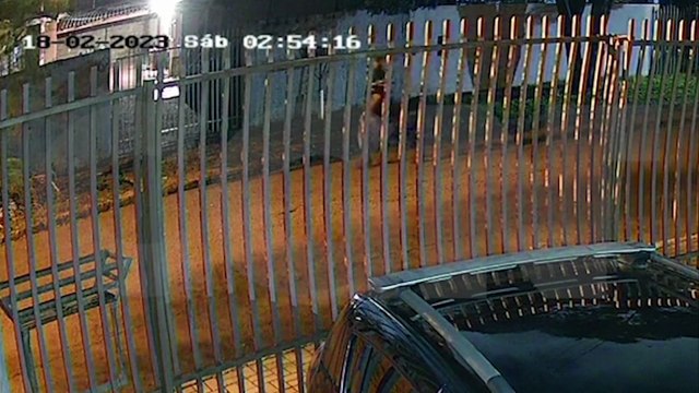 Câmeras flagram furto de bicicletas foram no Parque Verde