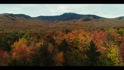 PAINT Official Trailer (2023) Owen Wilson