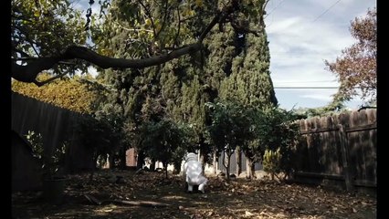 SPOONFUL OF SUGAR Official Trailer (2023)