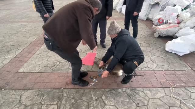 Artvin'de vatandaşların bitkin halde bulduğu karaca görevlilere teslim edildi