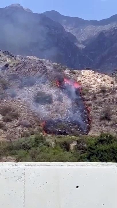مدني "قنا عسير" يسيطر على حريق شبّ في أشجار وحشائش بعقبة قدران