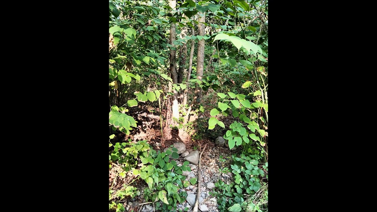 Photos et Vidéos de ma sortie du 24.08.2022