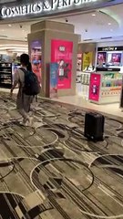 Robot Suitcases Taking Over The World