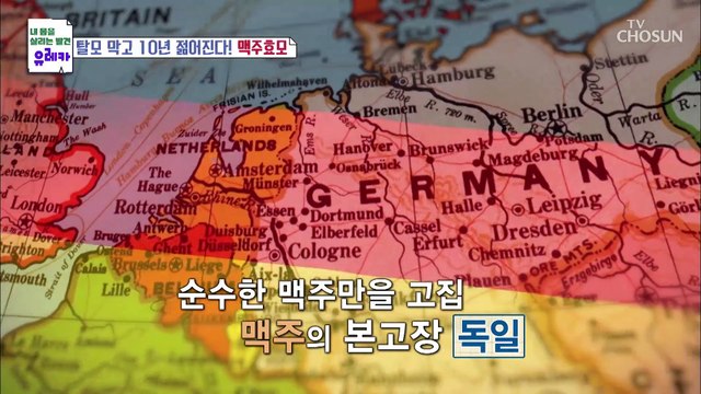 탈모 노화 방지에 도움 주는 맥주효모 TV CHOSUN 230219 방송