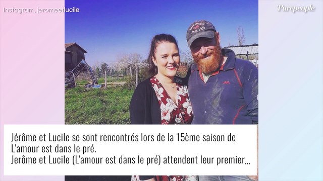 Tu t'es vue ?! : Lucile (L'amour est dans le pré) a appris sa seconde grossesse grâce à Jérôme