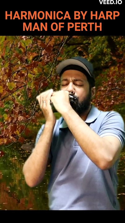 Stumblin in ( Shorts) by Chris Norman and Suzi Quatro (1978) | Valentine's Day Song on harmonica