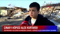 Depremde tüm ailesini kaybeden 12 yaşındaki Çınar, köpeği Alex sayesinde kurtuldu!