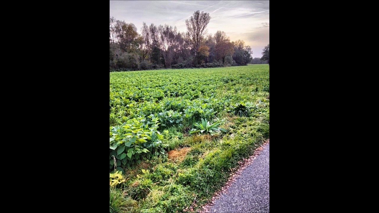 Photos et Vidéos de ma sortie du 29.10.2022