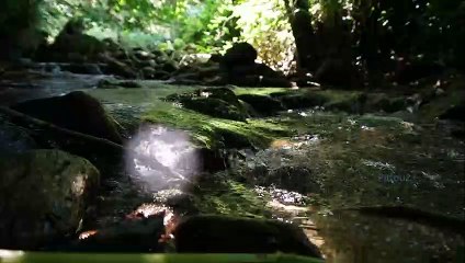 "Bien-être" Eau Ruisseau - Relaxation - Détente