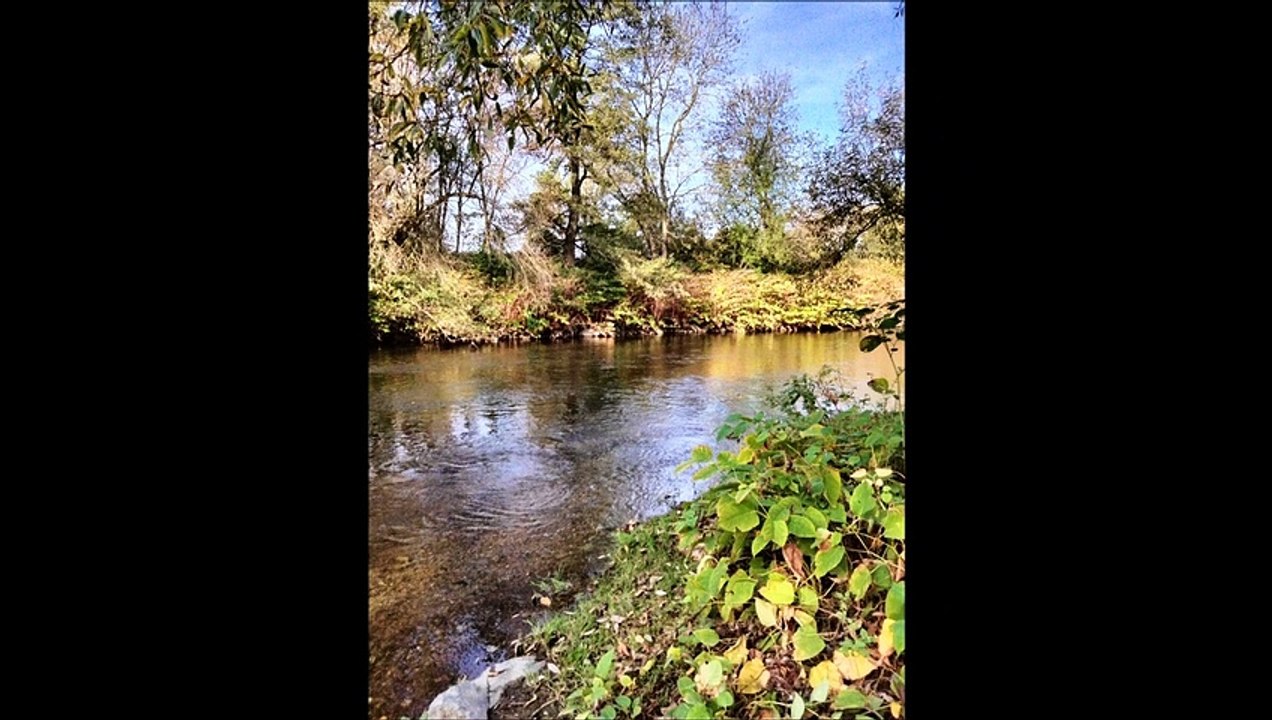 Photos et Vidéos de ma sortie du 30.10.2022