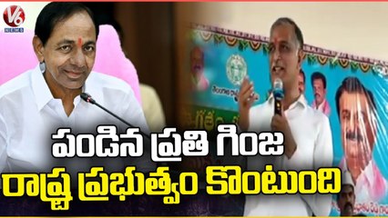 Download Video: Harish Rao Laid Foundation Stone For Mini Tank Bund, Inaugurated School Building | Medak | V6 News