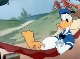 Donald Duck Donald Duck E064 Donald’s Decision