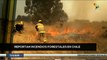 teleSUR Noticias 11:30 19-02: Incendios forestales se reactivan con fuerza en Chile