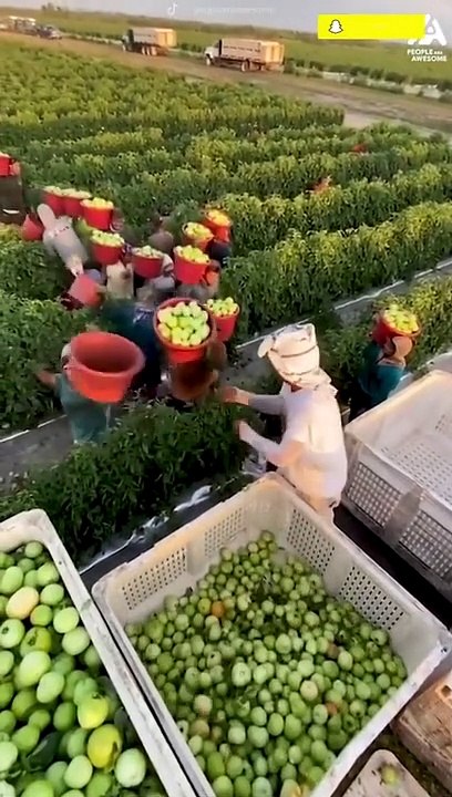 Skilled Workers On Another Level  - Super Humans