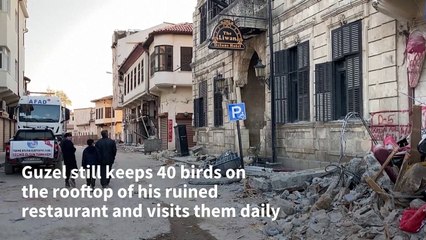 Antakya's bird-man refuses to leave his flock behind after deadly earthquake