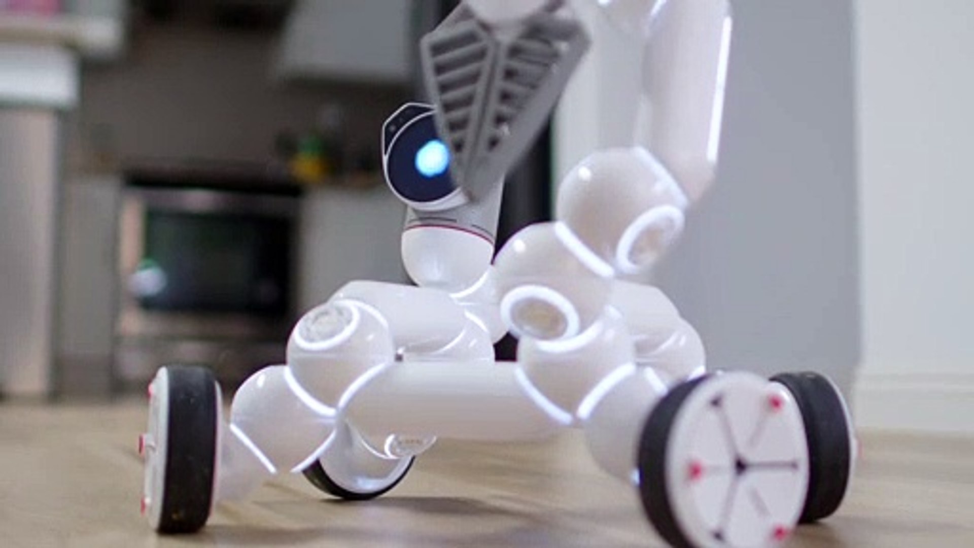 Artificial intelligence robot