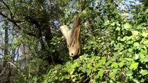 Parc de la Poudrerie St-Chamas-Miramas : venez voir les cigognes ?