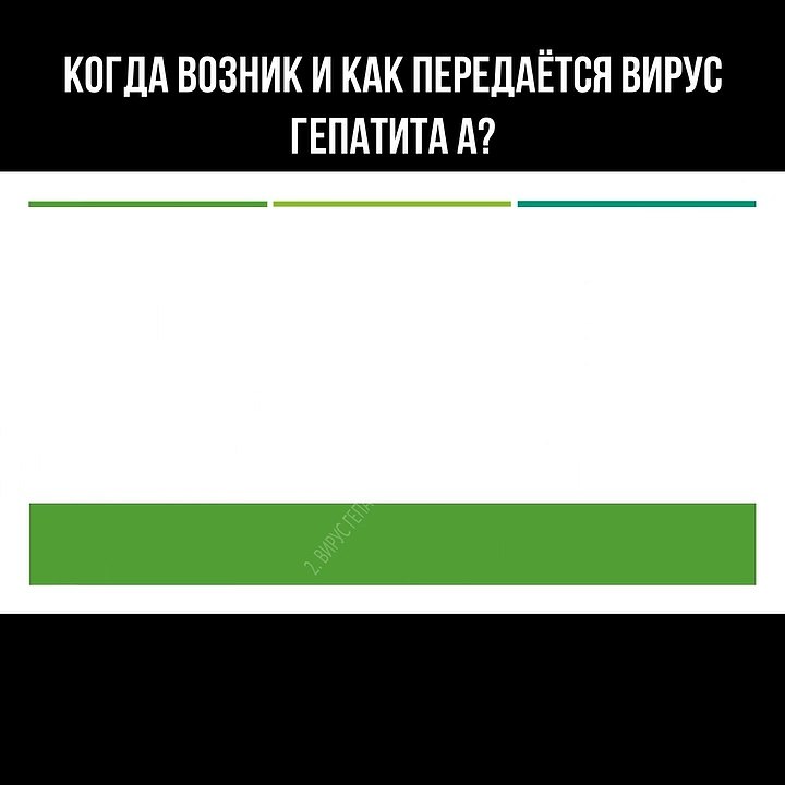 Когда возник и как передаётся вирус гепатита А?