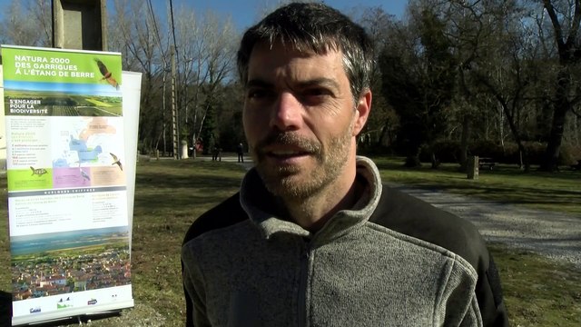 Parc de la Poudrerie St-Chamas-Miramas : venez voir les cigognes ?