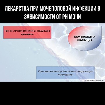 Лекарства при мочеполовой инфекции в зависимости от pH мочи