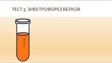 Что такое электрофорез белков?