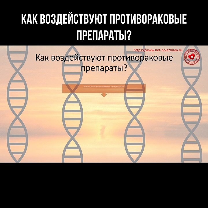 Как воздействуют противораковые препараты?