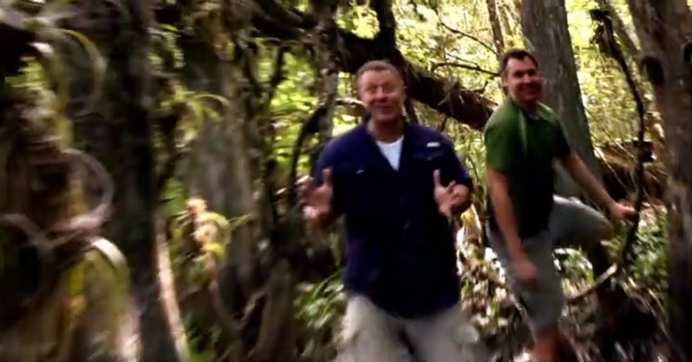 Wild Kratts Wild Kratts S03 E004 – Mosquito Dragon - video Dailymotion