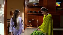 Dil Ruba - 2nd Last Episode 23 - [HD] - Hania Amir - Syed Jibran  Drama