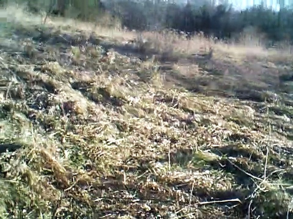 where the river shannon flows melody