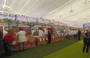 جولة وزيري التربية والتعليم والتنمية المحلية في البحيرة.. افتتاح معرض منتجات وتفقد مدراس