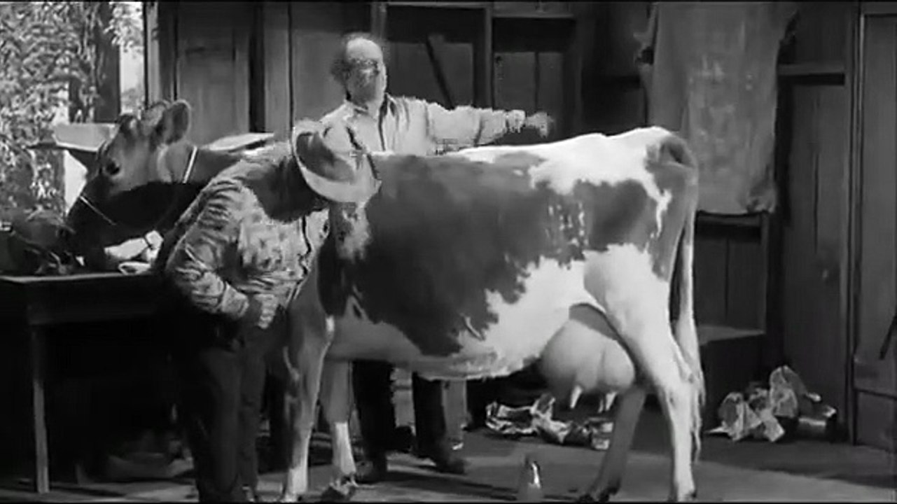 The Three Stooges - Se1 - Ep188 HD Watch