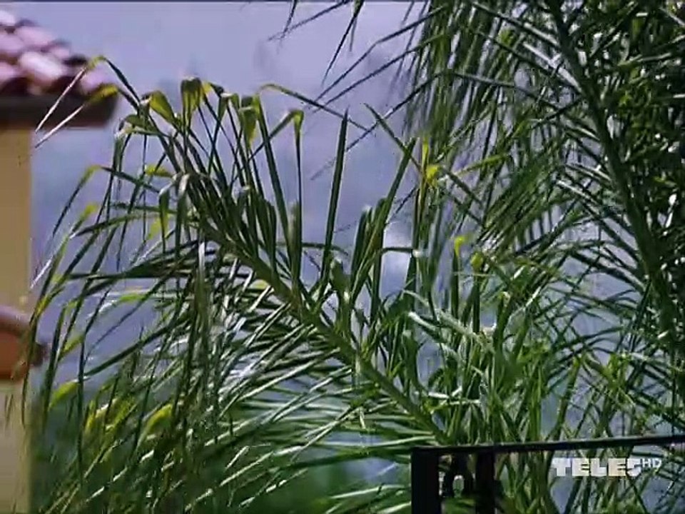 Lying in Wait (2001) Filme Deustche HD